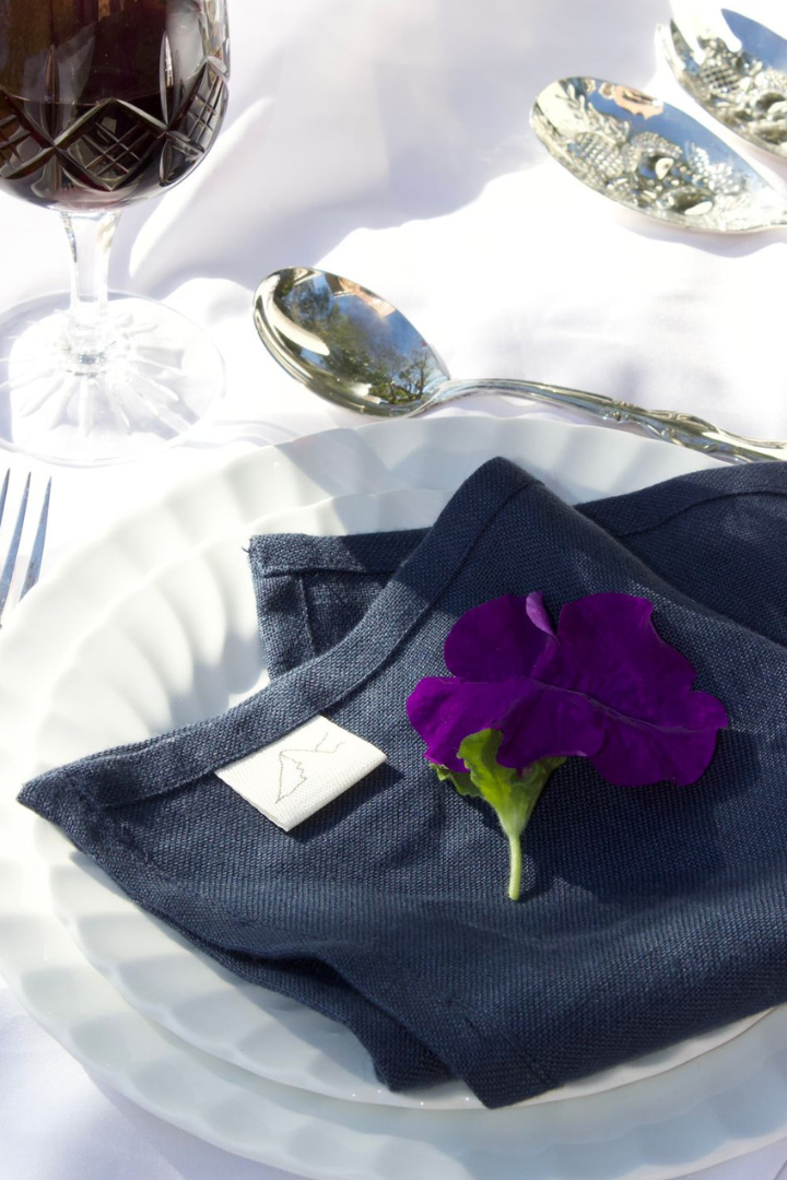 Napkins [Set of 2]